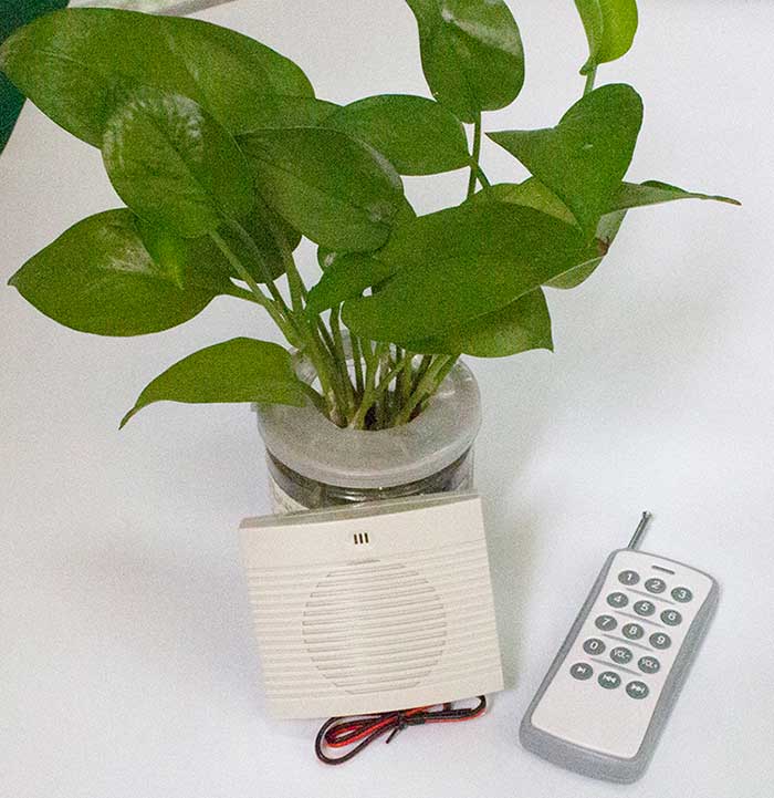 无线？？？胤桨